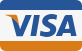visa icon
